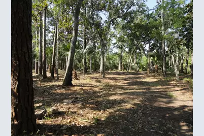 114 Melanie Ln, Apalachicola, FL 32320 - Photo 1