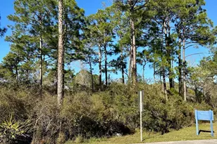 401 Ridgecrest Pkwy, Eastpoint, FL 32328 - Photo 1