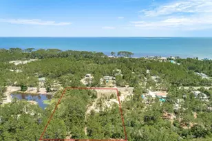 2079 Lighthouse Rd, Carrabelle, FL 32322 - Photo 1