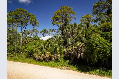 617 E Pine St, Saint George Island, FL 32328 - Photo 1