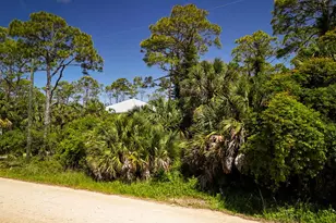 617 E Pine St, Saint George Island, FL 32328 - Photo 1