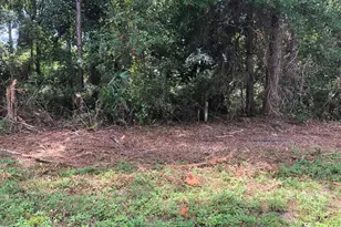 130 Blue Water Beach Cir, Carrabelle, FL 32322 - Photo 1