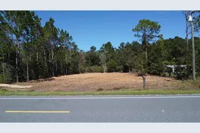 Lot 21 Doc Whitfield Rd, Wewahitchka, FL 32465 - Photo 1