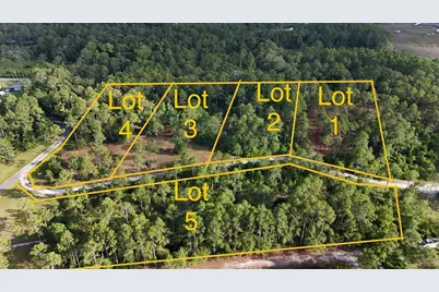 171 Skipper Rd, Carrabelle, FL 32322 - Photo 1