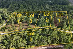 175 Skipper Rd, Carrabelle, FL 32322 - Photo 1