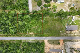 135 Jazzy Ln, Wewahitchka, FL 32456 - Photo 1