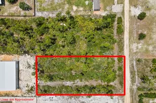 Lot 4 Chellsey St, Wewahitchka, FL 32465 - Photo 1