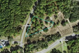 228 Boncycle Land Dr, Eastpoint, FL 32328 - Photo 1