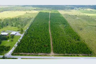 Tbd Borders Rd, Wewahitchka, FL 32465 - Photo 1