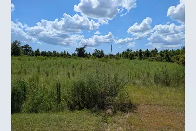 111 Goldenrod Ln, Wewahitchka, FL 32465 - Photo 1