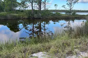 116 Anglers Rd, Carrabelle, FL 32322 - Photo 1