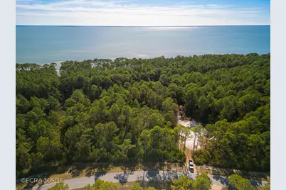 306 Gramercy Plantation Blvd, Eastpoint, FL 32328 - Photo 1