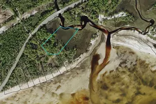 2976 Pristine Dr, Carrabelle, FL 32322 - Photo 1