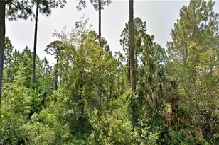 14 Cr 30-A, Port Saint Joe, FL 32456 - Photo 1