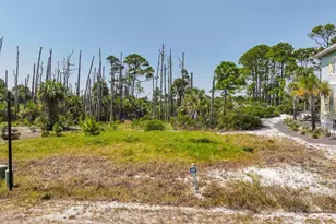 251 Cord Grass Way, Port Saint Joe, FL 32456 - Photo 1
