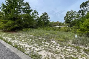 1589 Sandpiper Dr, Carrabelle, FL 32322 - Photo 1