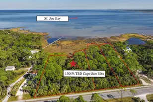 Tbd Cape San Blas Rd, Port Saint Joe, FL 32456 - Photo 1