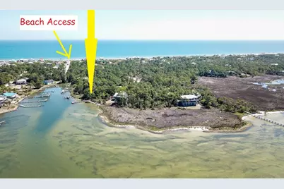 1239 Avocet Ln, Saint George Island, FL 32328 - Photo 1
