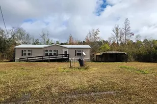 334 Old Bay City Rd, Wewahitchka, FL 32465 - Photo 1