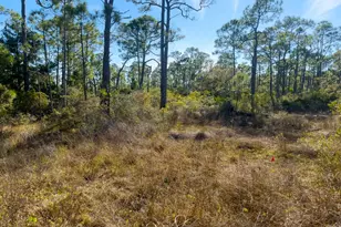 1279 Avocet Ln, Saint George Island, FL 32328 - Photo 1