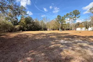 295 S Squirrel Ave, Wewahitchka, FL 32465 - Photo 1