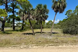 989 W Bay Shore Dr, Saint George Island, FL 32328 - Photo 1