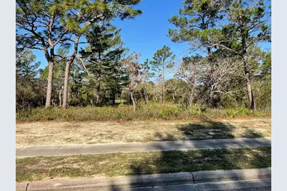 131 Laughing Gull Ln, Carrabelle, FL 32323 - Photo 1