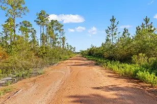 10320 Cowels Rd, Fountain, FL 32438 - Photo 1