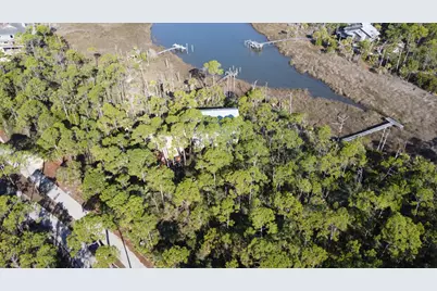 1909 Smugglers Cove Rd, Saint George Island, FL 32328 - Photo 1