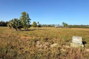 Lot 12 Harmony St, Wewahitchka, FL 32465 - Photo 1