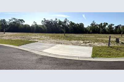 194 Kiera Ct, Wewahitchka, FL 32465 - Photo 1