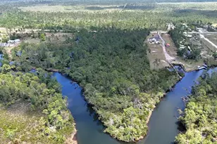 Tbd 1 Cr 386 N, Wewahitchka, FL 32465 - Photo 1
