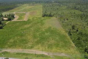 Lot 5 Hwy 71, Wewahitchka, FL 32465 - Photo 1