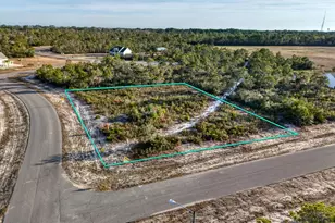 246 Sago Dr, Eastpoint, FL 32328 - Photo 1