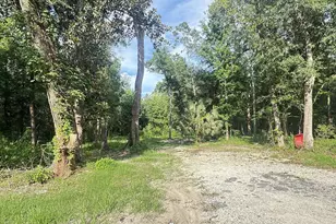 246 McGlon Dr, Wewahitchka, FL 32465 - Photo 1