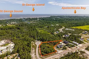 303 Hibiscus Ln, Eastpoint, FL 32328 - Photo 1