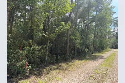 Lot 18 Pamela Pl, Sopchoppy, FL 32358 - Photo 1