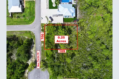 106 Sea Turtle Dr, Port Saint Joe, FL 32456 - Photo 1