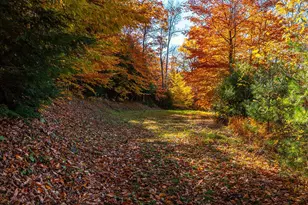 37 Low Rd, Hanover, NH 03755 - Photo 1