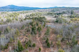 164 West St, Antrim, NH 03440 - Photo 1