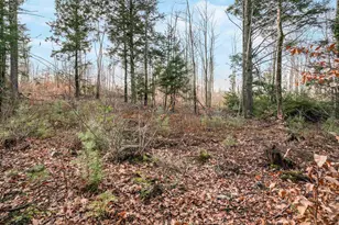 0 Merrill Rd, Candia, NH 03034 - Photo 1