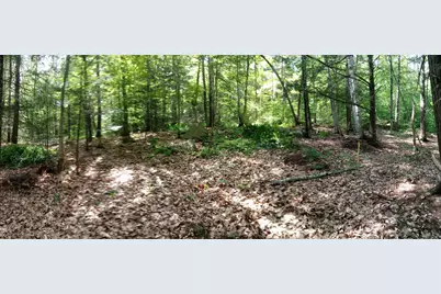 420 Sutton Road, Newbury, NH 03255 - Photo 1