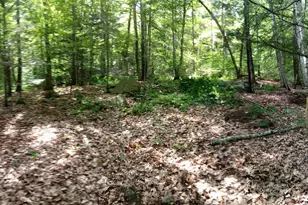 420 Sutton Rd, Newbury, NH 03255 - Photo 1