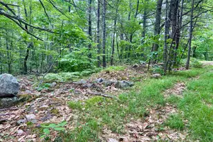 3 Old Town Rd, Madison, NH 03849 - Photo 1