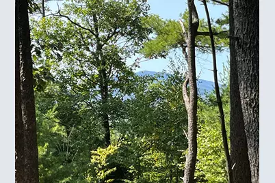 Old Stoddard Road, Hancock, NH 03449 - Photo 1