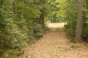 Lot 2 Holmes Rd, Barnstead, NH 03225 - Photo 1