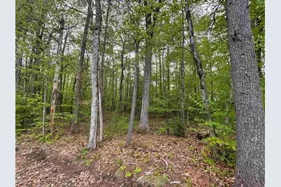 Wildcat Road Lot #10, Barrington, NH 03825 - Photo 1