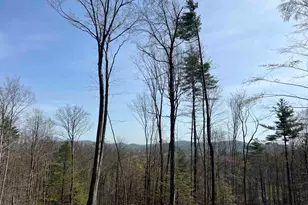 00 Burt Hill Rd, Winchester, NH 03470 - Photo 1