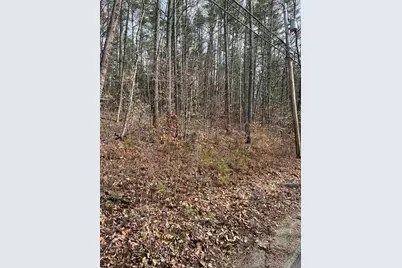 Pine Street, Hopkinton, NH 03229 - Photo 1