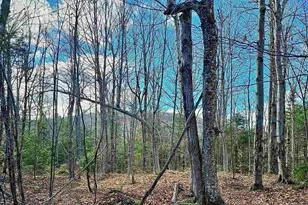 Lot 28 Knowles Hill Road W, Alexandria, NH 03222 - Photo 1